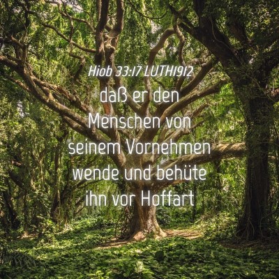 Picture 04 - Hiob 33:17 LUTH1912 - daß er den Menschen von seinem Vornehmen wende - Bible Verse Picture