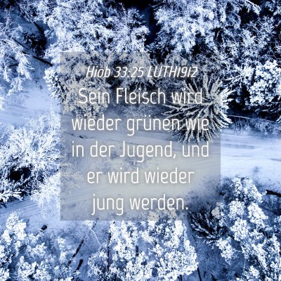 Picture 04 - Hiob 33:25 LUTH1912 - Sein Fleisch wird wieder grünen wie in der - Bible Verse Picture