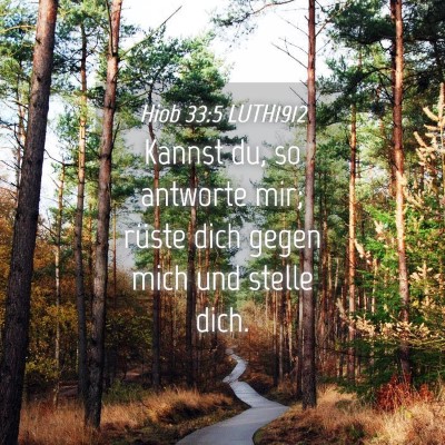 Picture 04 - Hiob 33:5 LUTH1912 - Kannst du, so antworte mir; rüste dich gegen - Bible Verse Picture