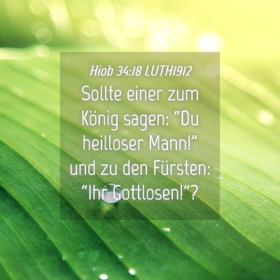 Picture 04 - Hiob 34:18 LUTH1912 - Sollte einer zum König sagen: “Du heilloser - Bible Verse Picture