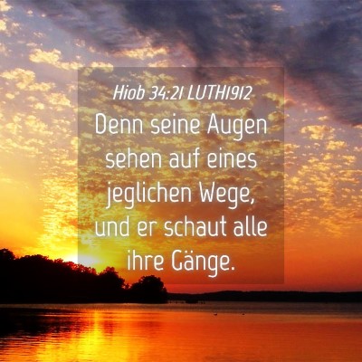 Picture 04 - Hiob 34:21 LUTH1912 - Denn seine Augen sehen auf eines jeglichen Wege, - Bible Verse Picture