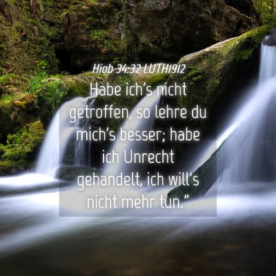 Picture 04 - Hiob 34:32 LUTH1912 - Habe ich's nicht getroffen, so lehre du mich's - Bible Verse Picture