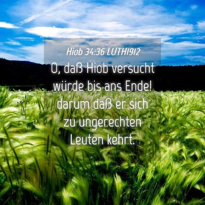 Picture 04 - Hiob 34:36 LUTH1912 - O, daß Hiob versucht würde bis ans Ende! darum - Bible Verse Picture