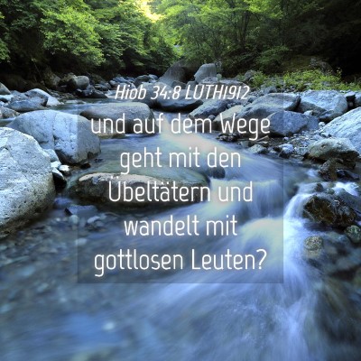 Picture 04 - Hiob 34:8 LUTH1912 - und auf dem Wege geht mit den Übeltätern und - Bible Verse Picture