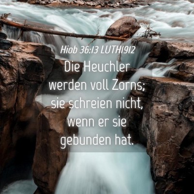 Picture 04 - Hiob 36:13 LUTH1912 - Die Heuchler werden voll Zorns; sie schreien - Bible Verse Picture