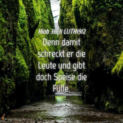 Picture 04 - Hiob 36:31 LUTH1912 - Denn damit schreckt er die Leute und gibt doch - Bible Verse Picture