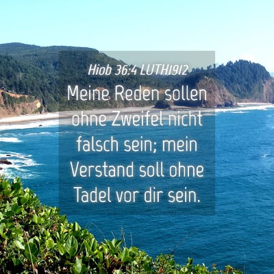 Picture 04 - Hiob 36:4 LUTH1912 - Meine Reden sollen ohne Zweifel nicht falsch - Bible Verse Picture