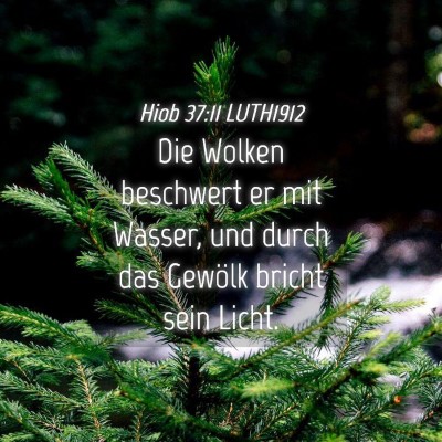 Picture 04 - Hiob 37:11 LUTH1912 - Die Wolken beschwert er mit Wasser, und durch das - Bible Verse Picture