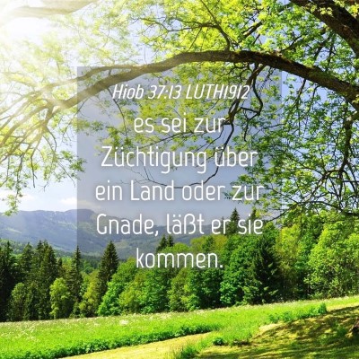 Picture 04 - Hiob 37:13 LUTH1912 - es sei zur Züchtigung über ein Land oder zur - Bible Verse Picture