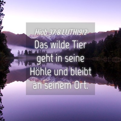 Picture 04 - Hiob 37:8 LUTH1912 - Das wilde Tier geht in seine Höhle und bleibt an - Bible Verse Picture