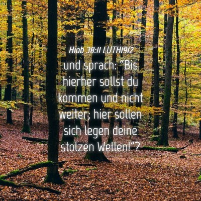 Picture 04 - Hiob 38:11 LUTH1912 - und sprach: “Bis hierher sollst du kommen und - Bible Verse Picture