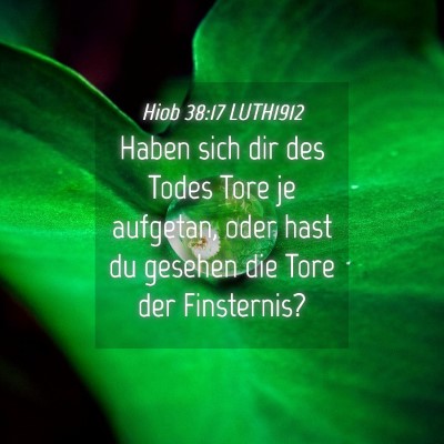 Picture 04 - Hiob 38:17 LUTH1912 - Haben sich dir des Todes Tore je aufgetan, oder - Bible Verse Picture