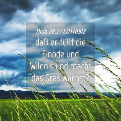 Picture 04 - Hiob 38:27 LUTH1912 - daß er füllt die Einöde und Wildnis und macht - Bible Verse Picture