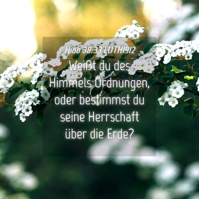 Picture 04 - Hiob 38:33 LUTH1912 - Weißt du des Himmels Ordnungen, oder bestimmst - Bible Verse Picture