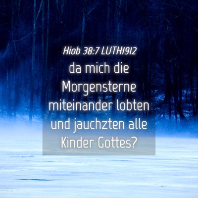 Picture 04 - Hiob 38:7 LUTH1912 - da mich die Morgensterne miteinander lobten und - Bible Verse Picture