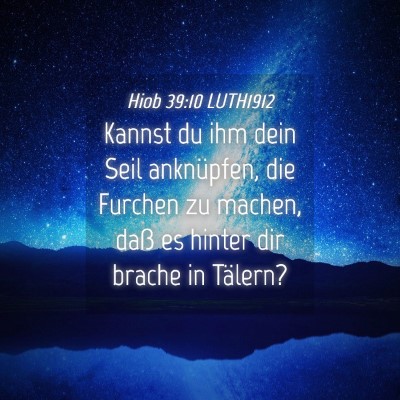 Picture 04 - Hiob 39:10 LUTH1912 - Kannst du ihm dein Seil anknüpfen, die Furchen - Bible Verse Picture