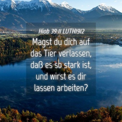 Picture 04 - Hiob 39:11 LUTH1912 - Magst du dich auf das Tier verlassen, daß es so - Bible Verse Picture