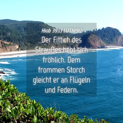 Picture 04 - Hiob 39:13 LUTH1912 - Der Fittich des Straußes hebt sich fröhlich. - Bible Verse Picture