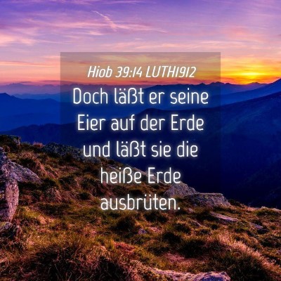 Picture 04 - Hiob 39:14 LUTH1912 - Doch läßt er seine Eier auf der Erde und läßt - Bible Verse Picture