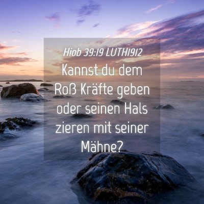 Picture 04 - Hiob 39:19 LUTH1912 - Kannst du dem Roß Kräfte geben oder seinen Hals - Bible Verse Picture