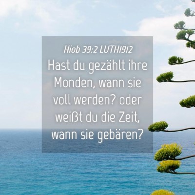 Picture 04 - Hiob 39:2 LUTH1912 - Hast du gezählt ihre Monden, wann sie voll - Bible Verse Picture