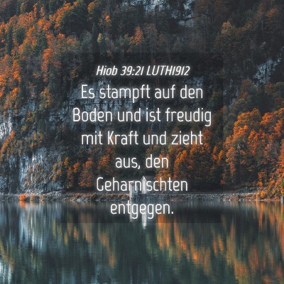 Picture 04 - Hiob 39:21 LUTH1912 - Es stampft auf den Boden und ist freudig mit - Bible Verse Picture