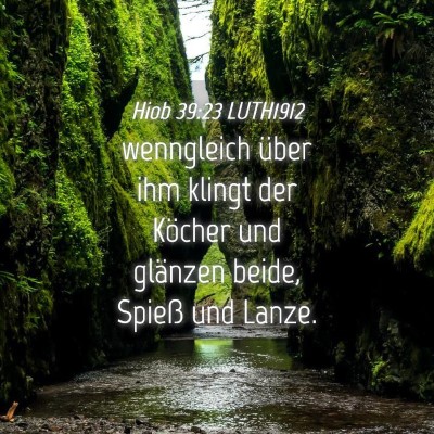 Picture 04 - Hiob 39:23 LUTH1912 - wenngleich über ihm klingt der Köcher und - Bible Verse Picture