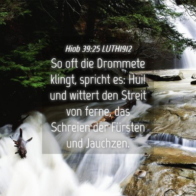 Picture 04 - Hiob 39:25 LUTH1912 - So oft die Drommete klingt, spricht es: Hui! und - Bible Verse Picture