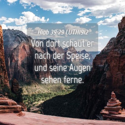 Picture 04 - Hiob 39:29 LUTH1912 - Von dort schaut er nach der Speise, und seine - Bible Verse Picture