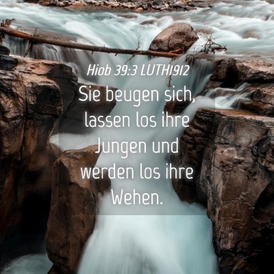 Picture 04 - Hiob 39:3 LUTH1912 - Sie beugen sich, lassen los ihre Jungen und - Bible Verse Picture