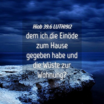 Picture 04 - Hiob 39:6 LUTH1912 - dem ich die Einöde zum Hause gegeben habe und - Bible Verse Picture