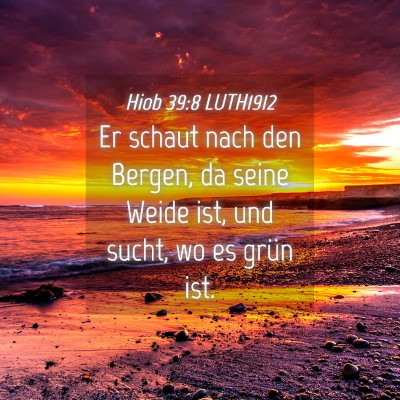 Picture 04 - Hiob 39:8 LUTH1912 - Er schaut nach den Bergen, da seine Weide ist, - Bible Verse Picture