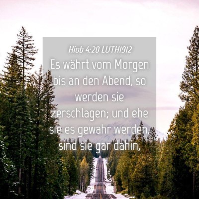 Picture 04 - Hiob 4:20 LUTH1912 - Es währt vom Morgen bis an den Abend, so werden - Bible Verse Picture