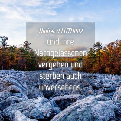 Picture 04 - Hiob 4:21 LUTH1912 - und ihre Nachgelassenen vergehen und sterben auch - Bible Verse Picture