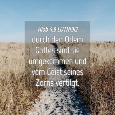 Picture 04 - Hiob 4:9 LUTH1912 - durch den Odem Gottes sind sie umgekommen und vom - Bible Verse Picture