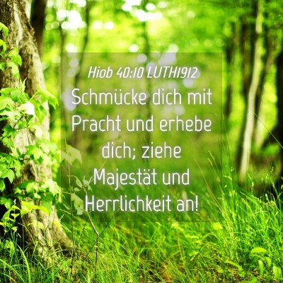 Picture 04 - Hiob 40:10 LUTH1912 - Schmücke dich mit Pracht und erhebe dich; ziehe - Bible Verse Picture