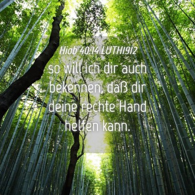 Picture 04 - Hiob 40:14 LUTH1912 - so will ich dir auch bekennen, daß dir deine - Bible Verse Picture