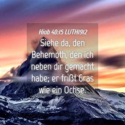 Picture 04 - Hiob 40:15 LUTH1912 - Siehe da, den Behemoth, den ich neben dir gemacht - Bible Verse Picture