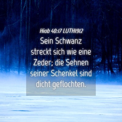 Picture 04 - Hiob 40:17 LUTH1912 - Sein Schwanz streckt sich wie eine Zeder; die - Bible Verse Picture