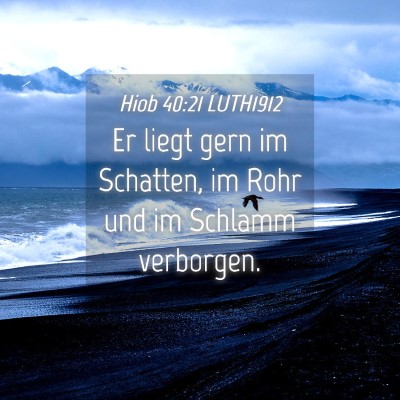 Picture 04 - Hiob 40:21 LUTH1912 - Er liegt gern im Schatten, im Rohr und im Schlamm - Bible Verse Picture