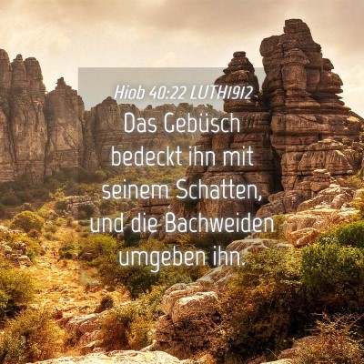 Picture 04 - Hiob 40:22 LUTH1912 - Das Gebüsch bedeckt ihn mit seinem Schatten, und - Bible Verse Picture