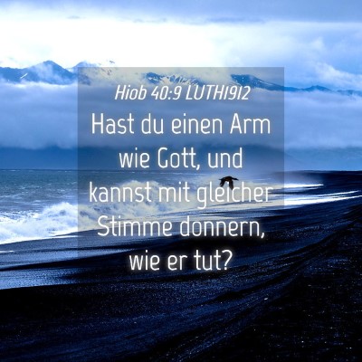 Picture 04 - Hiob 40:9 LUTH1912 - Hast du einen Arm wie Gott, und kannst mit - Bible Verse Picture