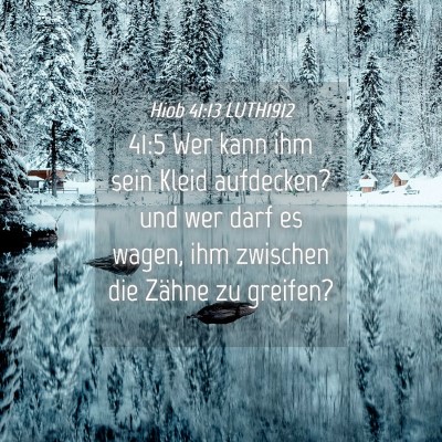 Picture 04 - Hiob 41:13 LUTH1912 - 41:5 Wer kann ihm sein Kleid aufdecken? und wer - Bible Verse Picture