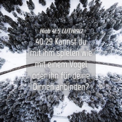 Picture 04 - Hiob 41:5 LUTH1912 - 40:29 Kannst du mit ihm spielen wie mit einem - Bible Verse Picture