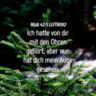 Picture 04 - Hiob 42:5 LUTH1912 - Ich hatte von dir mit den Ohren gehört; aber nun - Bible Verse Picture