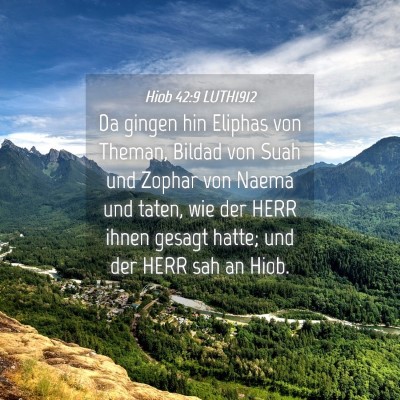 Picture 04 - Hiob 42:9 LUTH1912 - Da gingen hin Eliphas von Theman, Bildad von Suah - Bible Verse Picture