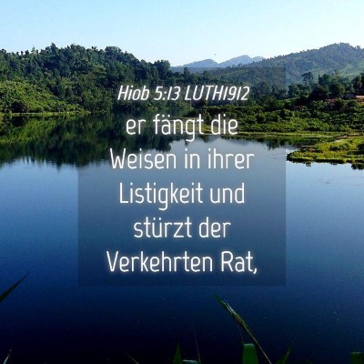 Picture 04 - Hiob 5:13 LUTH1912 - er fängt die Weisen in ihrer Listigkeit und - Bible Verse Picture