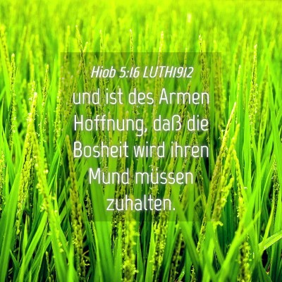 Picture 04 - Hiob 5:16 LUTH1912 - und ist des Armen Hoffnung, daß die Bosheit wird - Bible Verse Picture