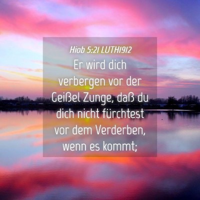 Picture 04 - Hiob 5:21 LUTH1912 - Er wird dich verbergen vor der Geißel Zunge, - Bible Verse Picture