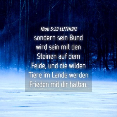 Picture 04 - Hiob 5:23 LUTH1912 - sondern sein Bund wird sein mit den Steinen auf - Bible Verse Picture